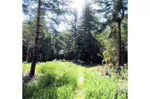 47615 Oregon Coast Hwy, Bandon, OR 97411 - Photo 36