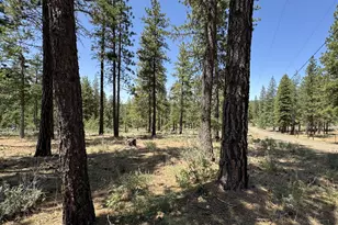 531 Cushman Rd, Goldendale, WA 98620 - Photo 32