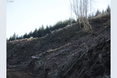 000 Abiqua Dam (Small), Silverton, OR 97381 - Photo 4