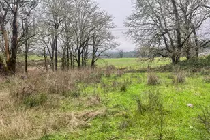 1698 Doerner Rd, Roseburg, OR 97471 - Photo 4