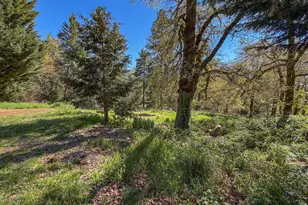 1698 Doerner Rd, Roseburg, OR 97471 - Photo 4