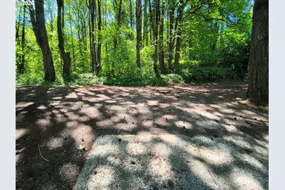 10503 NW 3rd St, Portland, OR 97231 - Photo 20