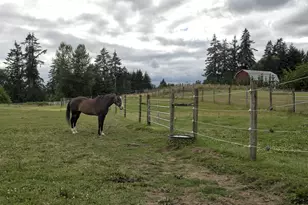 29509 NE Timmen Rd, Ridgefield, WA 98642 - Photo 36