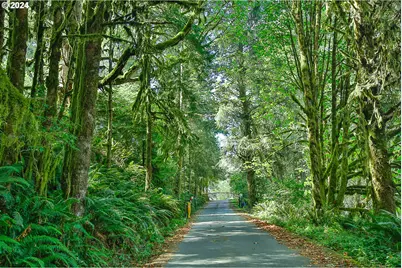 311 Council Hill Rd, Lakeside, OR 97449 - Photo 34