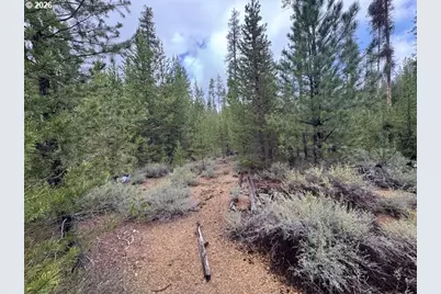 Schoonover 8 #2900, Crescent, OR 97733 - Photo 20
