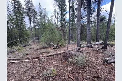 Schoonover 8 #2900, Crescent, OR 97733 - Photo 12