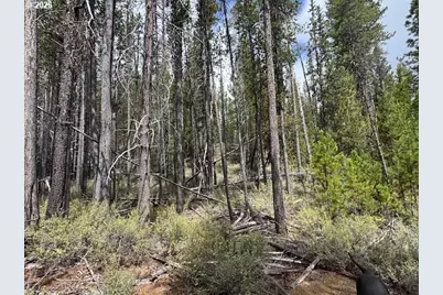 Schoonover 8 #2900, Crescent, OR 97733 - Photo 24