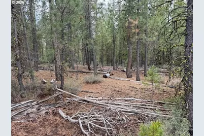 Schoonover 8 #2900, Crescent, OR 97733 - Photo 10