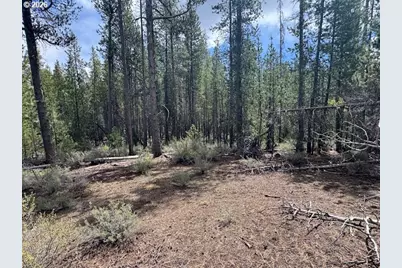 Schoonover 8 #2900, Crescent, OR 97733 - Photo 28