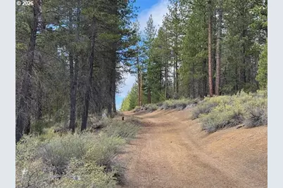 Schoonover 8 #2900, Crescent, OR 97733 - Photo 38