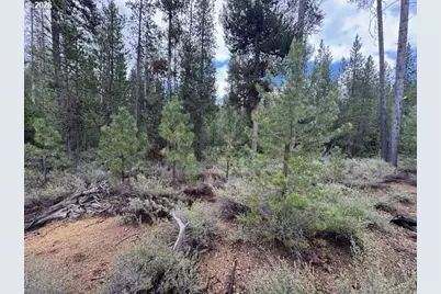 Schoonover 8 #2900, Crescent, OR 97733 - Photo 18