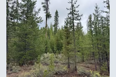 Schoonover 8 #2900, Crescent, OR 97733 - Photo 16