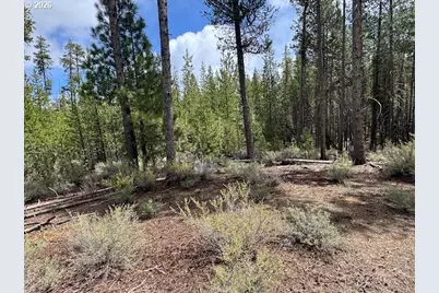 Schoonover 8 #2900, Crescent, OR 97733 - Photo 30
