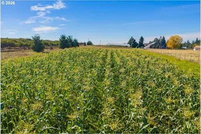 7908 Boedigheimer Rd, Sublimity, OR 97385 - Photo 12