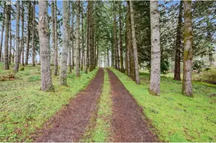 6683 Indian Springs Rd NE, Scotts Mills, OR 97375 - Photo 36