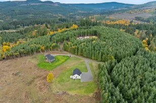 253 S Goble Creek Rd, Kelso, WA 98626 - Photo 44