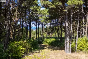 6770 SW Pacific Coast Hwy, Waldport, OR 97394 - Photo 1