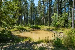 29727 Santiam Terrace Rd, Lebanon, OR 97355 - Photo 4
