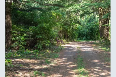 88675 Whiting Ln, Bandon, OR 97411 - Photo 36