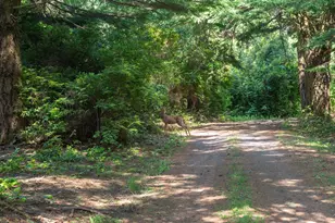 88675 Whiting Ln, Bandon, OR 97411 - Photo 36