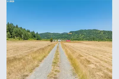 45651 Johnson Mountain Rd, Powers, OR 97466 - Photo 24