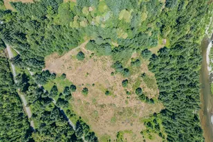 45651 Johnson Mountain Rd, Powers, OR 97466 - Photo 22