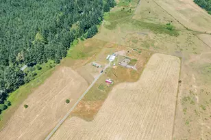 45651 Johnson Mountain Rd, Powers, OR 97466 - Photo 12