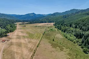 45651 Johnson Mountain Rd, Powers, OR 97466 - Photo 24