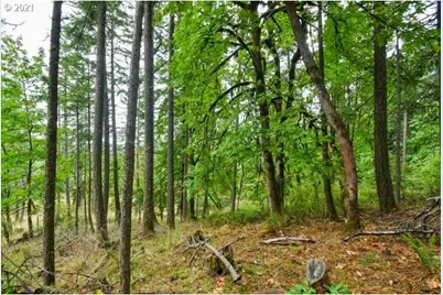 32475 Fox Hollow Rd, Eugene, OR 97405 - Photo 4