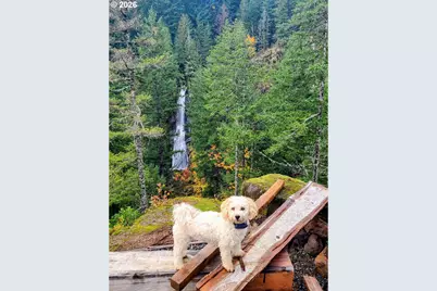 Boulder Ridge, Carson, WA 98610 - Photo 2