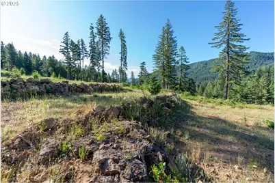 Boulder Ridge, Carson, WA 98610 - Photo 8