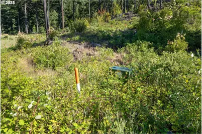 Boulder Ridge, Carson, WA 98610 - Photo 22