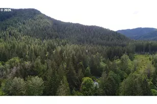 252 Blackledge Rd, Carson, WA 98610 - Photo 42