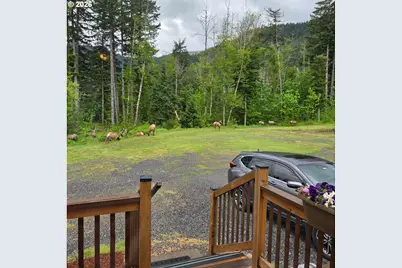 252 Blackledge Rd, Carson, WA 98610 - Photo 46