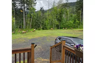 252 Blackledge Rd, Carson, WA 98610 - Photo 46