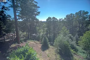 31366 SE Jackknife Rd, Eagle Creek, OR 97022 - Photo 14