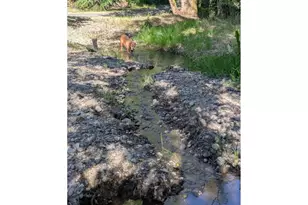 31366 SE Jackknife Rd, Eagle Creek, OR 97022 - Photo 2