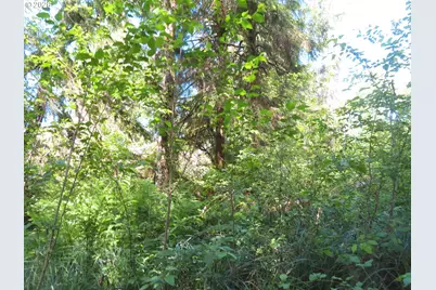 State Route 101, South Bend, WA 98586 - Photo 8