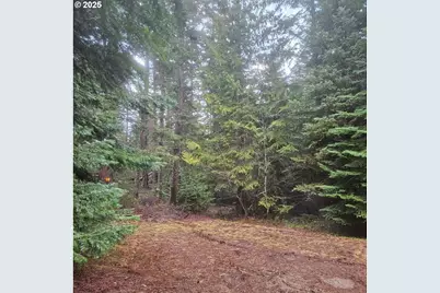 10675 Cooper Spur Rd, Mt Hood Prkdl, OR 97041 - Photo 20