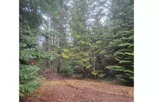 10675 Cooper Spur Rd, Mt Hood Prkdl, OR 97041 - Photo 20