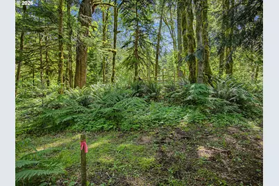 28135 E Grove Ave, Welches, OR 97067 - Photo 26