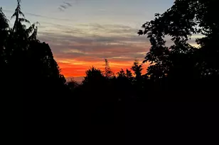 4480 Grant St, West Linn, OR 97068 - Photo 34