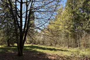 31520 NE 74th Ave, La Center, WA 98629 - Photo 8