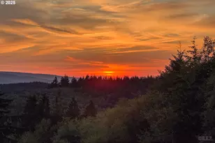 70392 Schumacher Rd, Rainier, OR 97048 - Photo 38