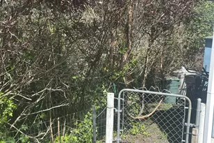 96465 Coverdell Rd, Brookings, OR 97415 - Photo 38