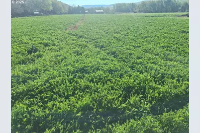 54884 Day Rd, Milton-Freewater, OR 97862 - Photo 10