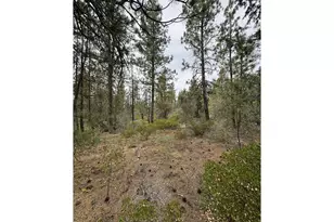 Gibbon Ln, Bonanza, OR 97623 - Photo 1