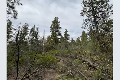 Gibbon Ln, Bonanza, OR 97623 - Photo 2