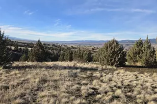 Laycock Creek Rd, Mount Vernon, OR 97865 - Photo 1