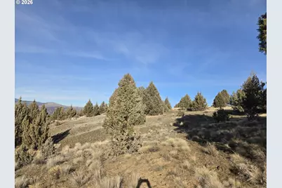 Laycock Creek Rd., Mount Vernon, OR 97865 - Photo 10